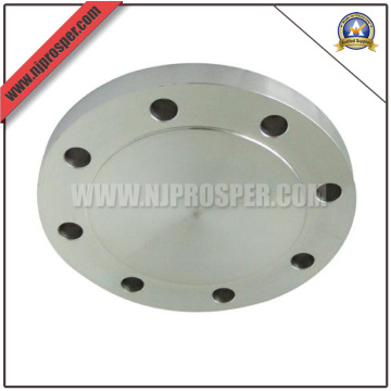 Ss/CS Blind Flanges (YZF-F87)